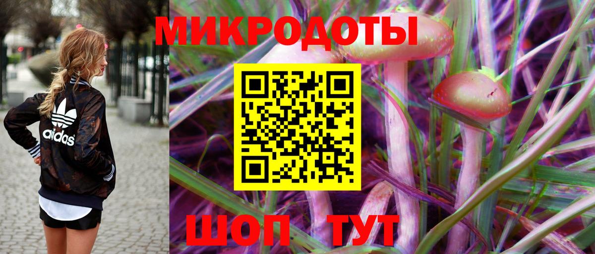 Псилоцибиновые грибы Cubensis Гагарин