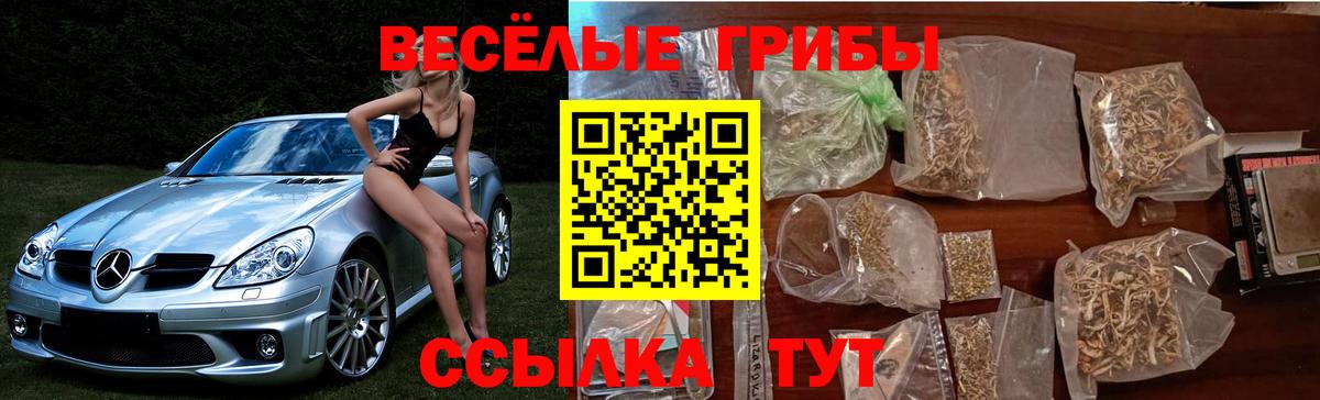Псилоцибиновые грибы GOLDEN TEACHER  как найти закладки  Вход с VPN  Гагарин  Псилоцибиновые грибы Magic Shrooms 
